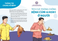 Tờ rơi, poster cúm A H5N1