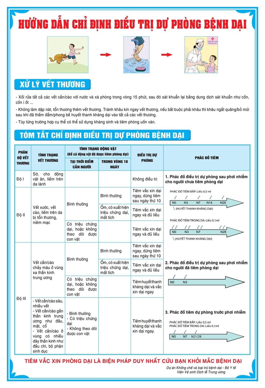 Bệnh dại lây từ người sang người: Nguyên nhân và phòng tránh